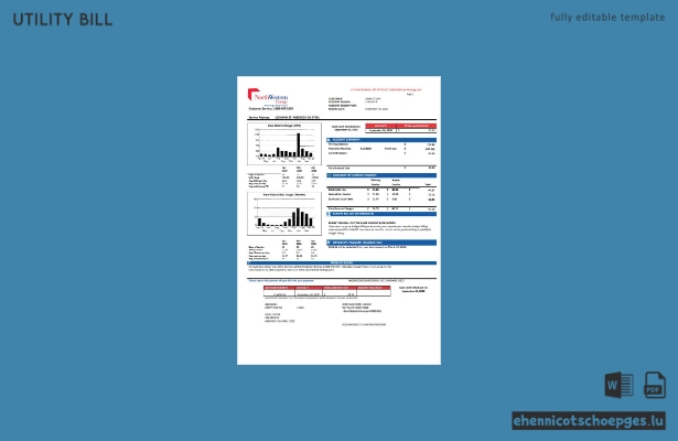 USA NorthWestern Energy Stromrechnung Version 2 Beispielvorschau